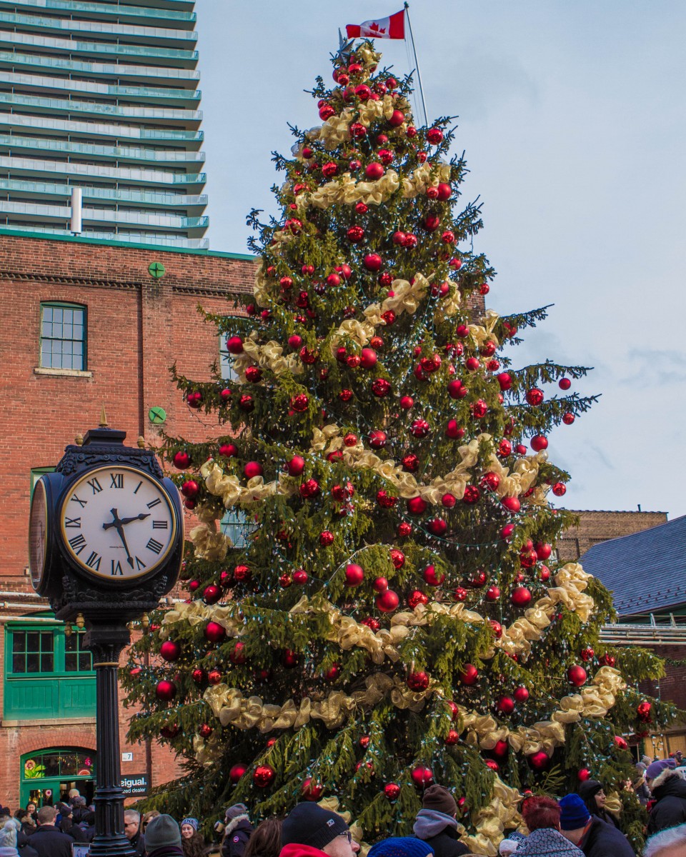 Fun and Food at Toronto's Christmas Market Wandering Wagars