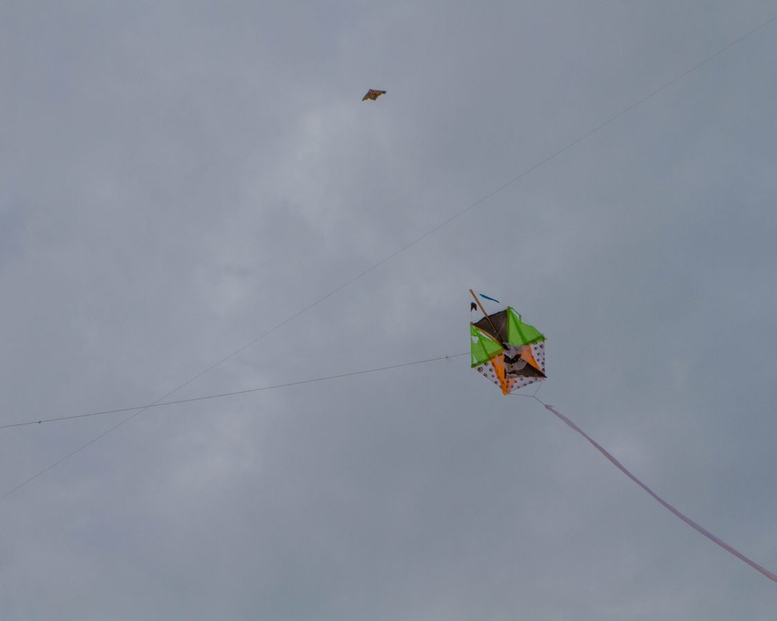 In Search of the Best Bermuda Beach Wandering Wagars