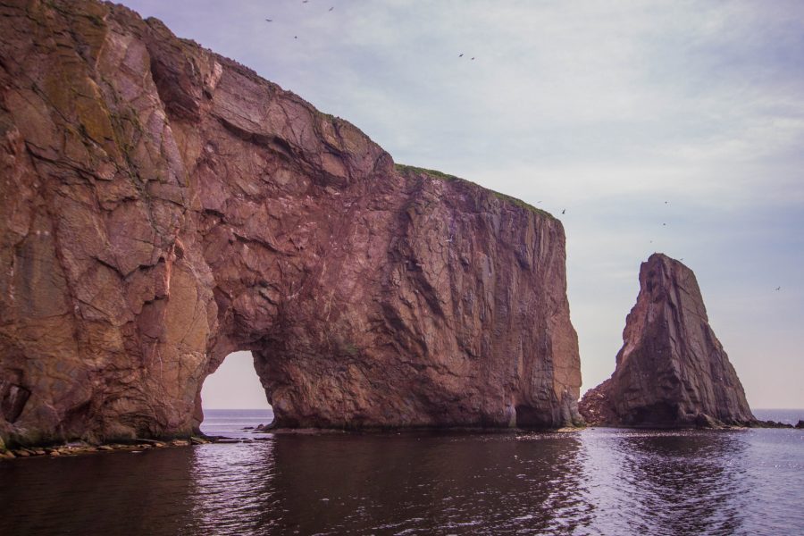 Perce Rock Boat Tours Perce Rock Boat Tours