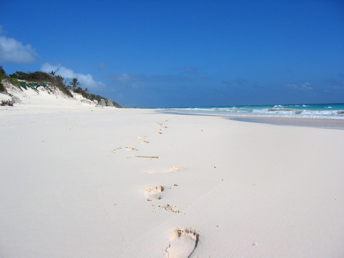 Best Bermuda Beach-Elbow Beach Bermuda