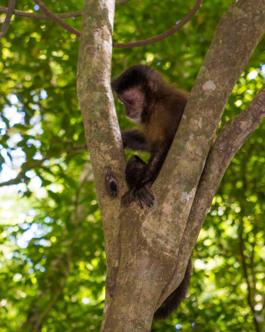Visiting Iguazu Falls Argentina with Kids Wandering Wagars