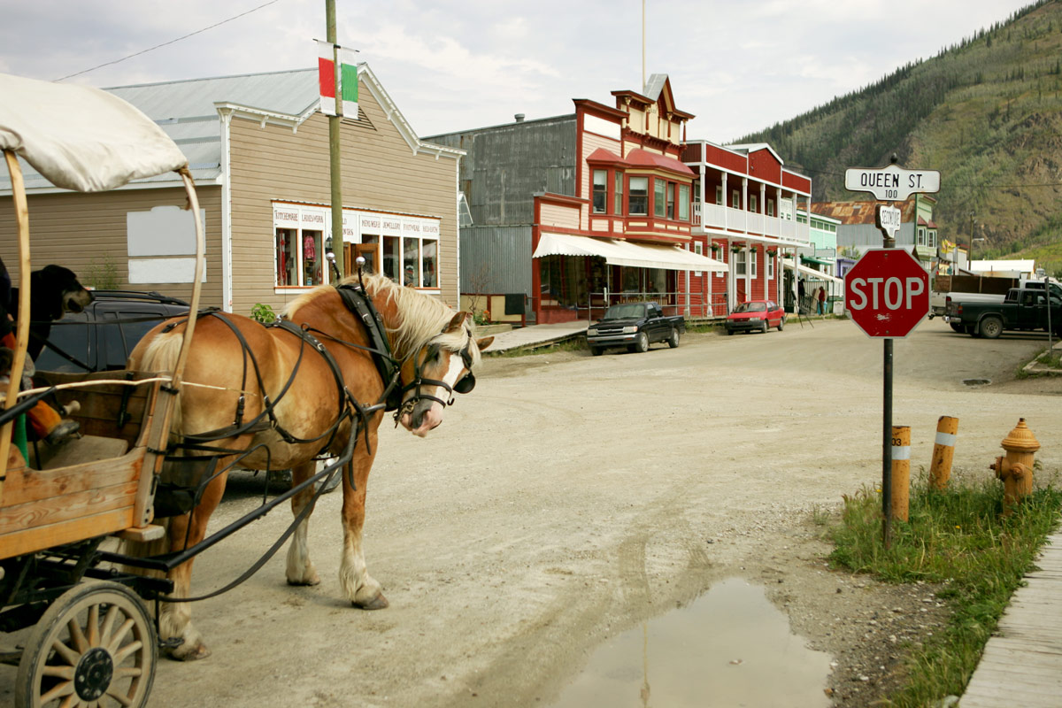 dawson city single guys Ryan almost single-handedly kicked off the yukon’s second it’s late in the day and one of the guys is running a it’s summer 2017 in dawson city, . dawson city single guys Ryan almost single-handedly kicked off the yukon’s second it’s late in the day and one of the guys is running a it’s summer 2017 in dawson city, .